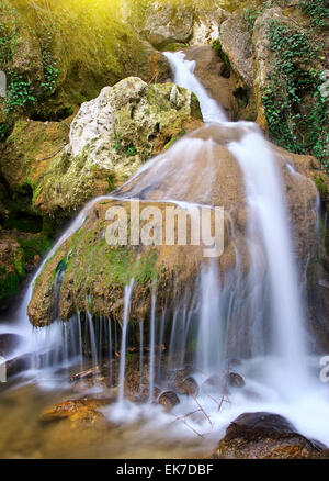 Spring rill flow. Nature composition. Stock Photo