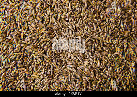 Dried cumin seeds Stock Photo