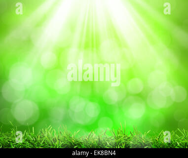 rSunny abstract green nature background Stock Photo - Alamy