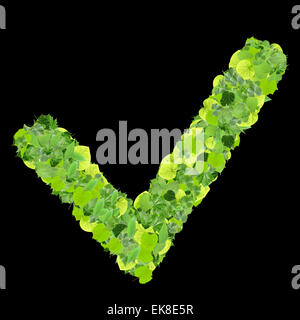 Approved, ok, like, eco sign made from green leaves isolated on background. 3D render. Stock Photo