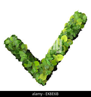 Approved, ok, like, eco sign made from green leaves isolated on background. 3D render. Stock Photo