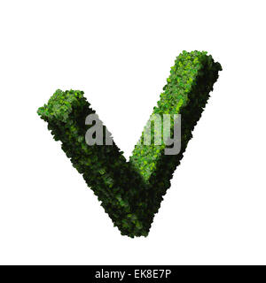 Approved, ok, like, eco sign made from green leaves isolated on background. 3D render. Stock Photo