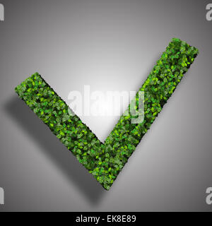 Approved, ok, like, eco sign made from green leaves isolated on background. 3D render. Stock Photo