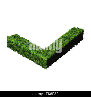 Approved, ok, like, eco sign made from green leaves isolated on background. 3D render. Stock Photo