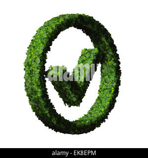 Approved, ok, like, eco sign made from green leaves isolated on background. 3D render. Stock Photo