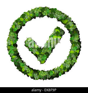 Approved, ok, like, eco sign made from green leaves isolated on background. 3D render. Stock Photo