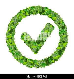 Approved, ok, like, eco sign made from green leaves isolated on background. 3D render. Stock Photo