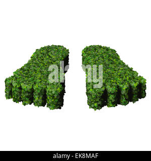 Feet made from green leaves isolated on white background. 3D render. Stock Photo