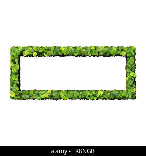 Quadrangle, rectangle made from green leaves isolated on background. 3D render. Stock Photo