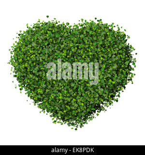 Heart made from green leaves isolated on white background. 3D render ...