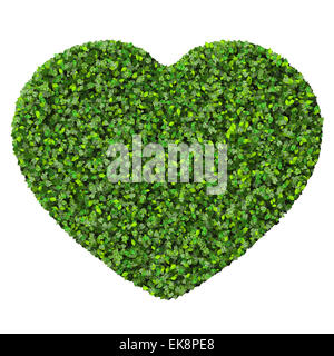Heart made from green leaves isolated on white background. 3D render ...
