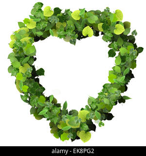 Heart made from green leaves isolated on white background. 3D render ...