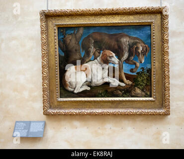 Deux chiens de chasse lies a une souche Two hunting dogs has a related