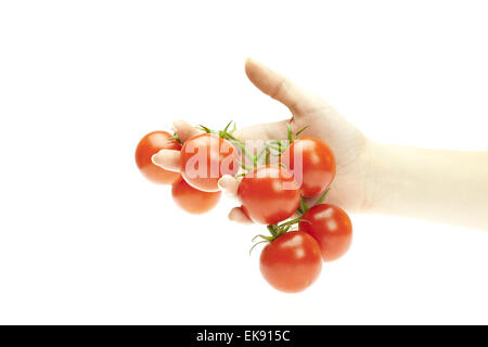 tomatoes in hand isolated on white Stock Photo