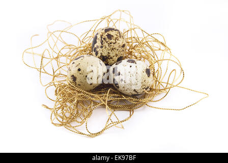quail eggs isolated on white Stock Photo