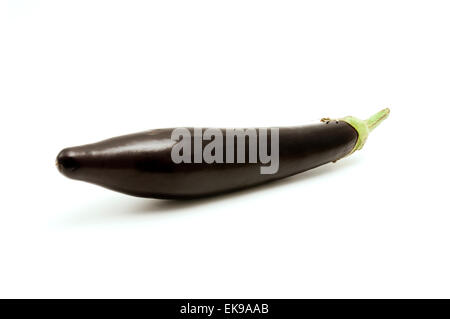 Eggplant on a white background Stock Photo