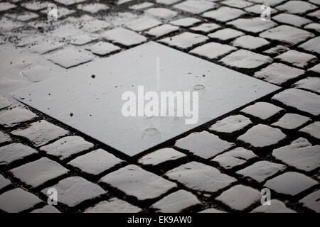 Background from the wet pavement with grass Stock Photo