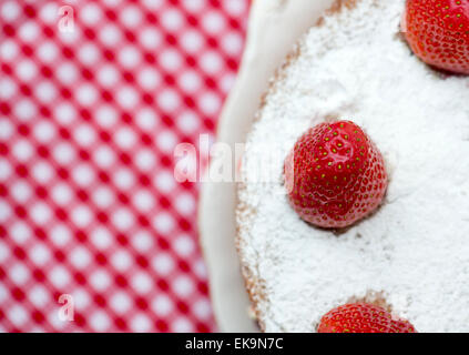 Victoria sponge cream cake with fresh strawberries and jam Stock Photo