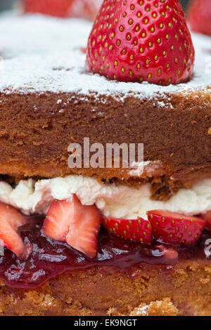 Victoria sponge cream cake with fresh strawberries and jam Stock Photo