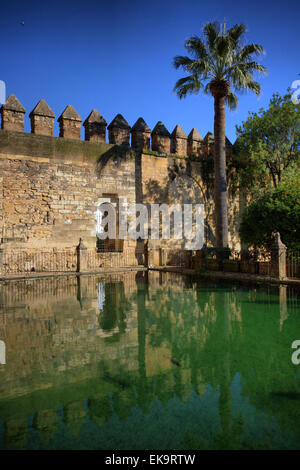 Gardens of Alcazar de los Reyes Cristianos  in Cordoba, Spain, Place is declared UNESCO World Heritage Site. Stock Photo