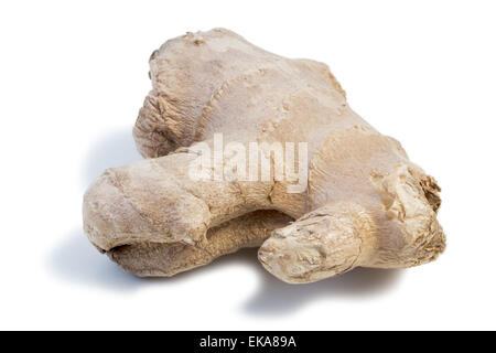 Closeup of a fresh ginger root, isolated on white background Stock Photo