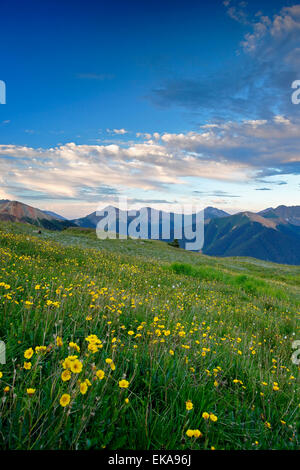 View of mountains and wildflowers from above U.S. Basin, San Juan Mountains, near Silverton, Colorado USA Stock Photo