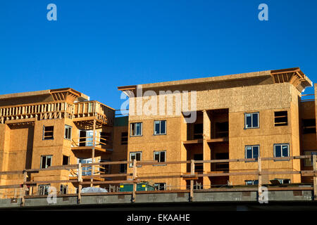 Wood construction of a new apartment building in Boise, Idaho, USA. Stock Photo