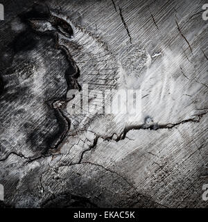 old wood texture. background old panels Stock Photo