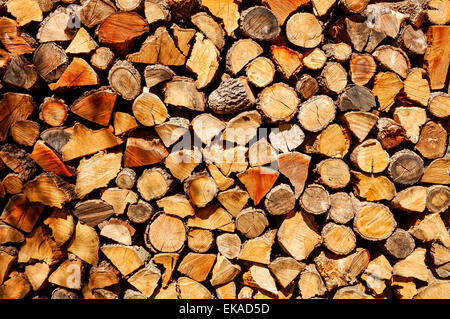 a pile of chopped firewood logs stored in a ranch or a farm Stock Photo