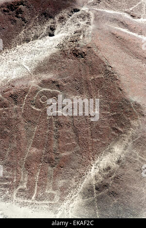 Nazca Lines spaceman geoglyph in Peru Stock Photo