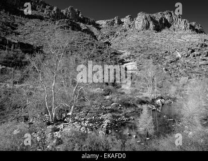 Sabino Canyon, Arizona Stock Photo