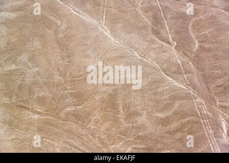 Nazca Lines monkey geoglyph closeup in Peru Stock Photo