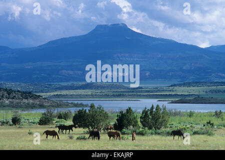 Horses graze in front of the lake near Ghost Ranch in Abiquiu, New Mexico, where the  towering form of Cerro Pedernal. Stock Photo