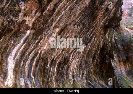 Small waterfall on cliff face at Weeping Rock in ZIon National Park Stock Photo