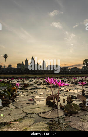 Sunrise over the west entrance to Angkor Wat, Angkor, UNESCO, Siem Reap, Cambodia, Indochina, Southeast Asia, Asia Stock Photo