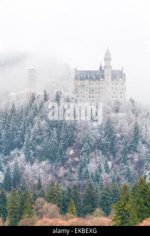 Neuschwanstein Castle in winter, Fussen, Bavaria, Germany, Europe Stock ...