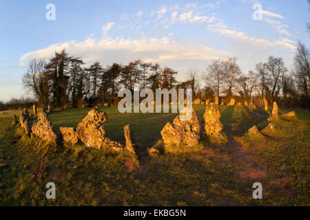 The Rollright Stones, a Bronze Age stone circle, Chipping Norton, Oxfordshire, Cotswolds, England, United Kingdom, Europe Stock Photo