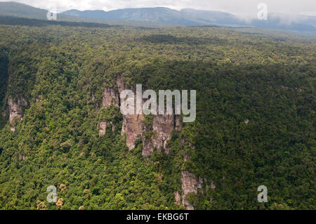 Aerial view of mountainous rainforest in Guyana, South America Stock Photo