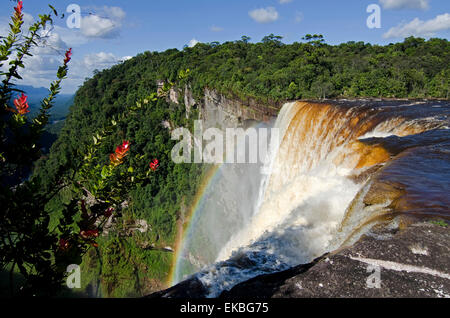 View across the rim of Kaieteur Falls, Guyana, South America Stock Photo