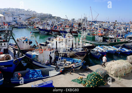 Fishing harbour, Tangier, Morocco, North Africa, Africa Stock Photo