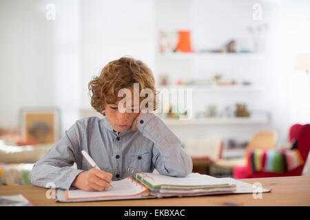 Teenage boy studying and writing notes Stock Photo