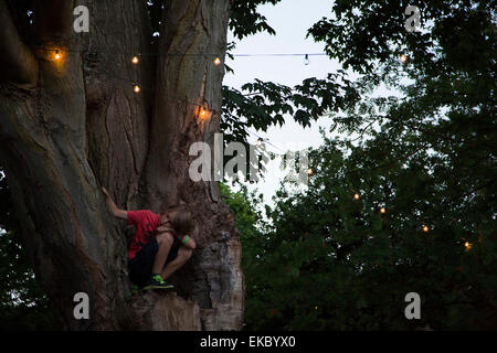 Boy sitting halfway up tree Stock Photo