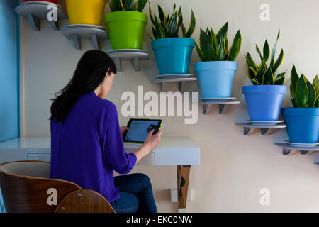 Woman making payment on digital tablet in front of diagonal row of potted plants Stock Photo