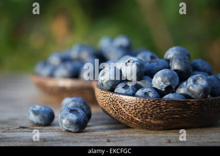 Two Bowls of blueberries on a table in the garden Stock Photo
