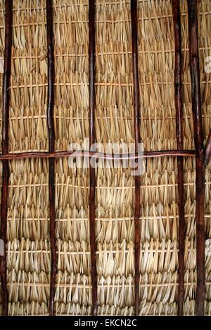 dried palm tree leaves palapa roof and beams view from under Stock ...