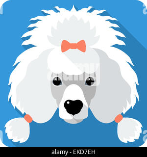 dog Poodle icon flat design Stock Photo