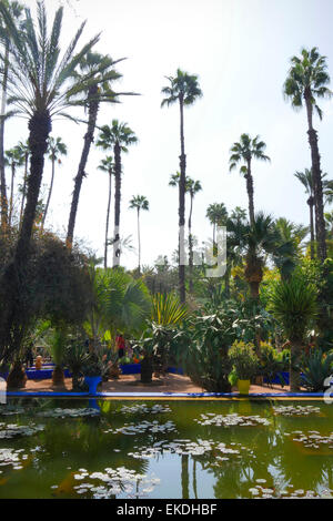 Tall palms at Majorelle Gardens in Marrakech, Morocco Stock Photo