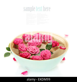 pink roses in bowl