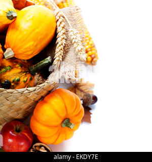 Harvest time, pumpkins Stock Photo
