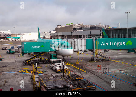 aer lingus Stock Photo